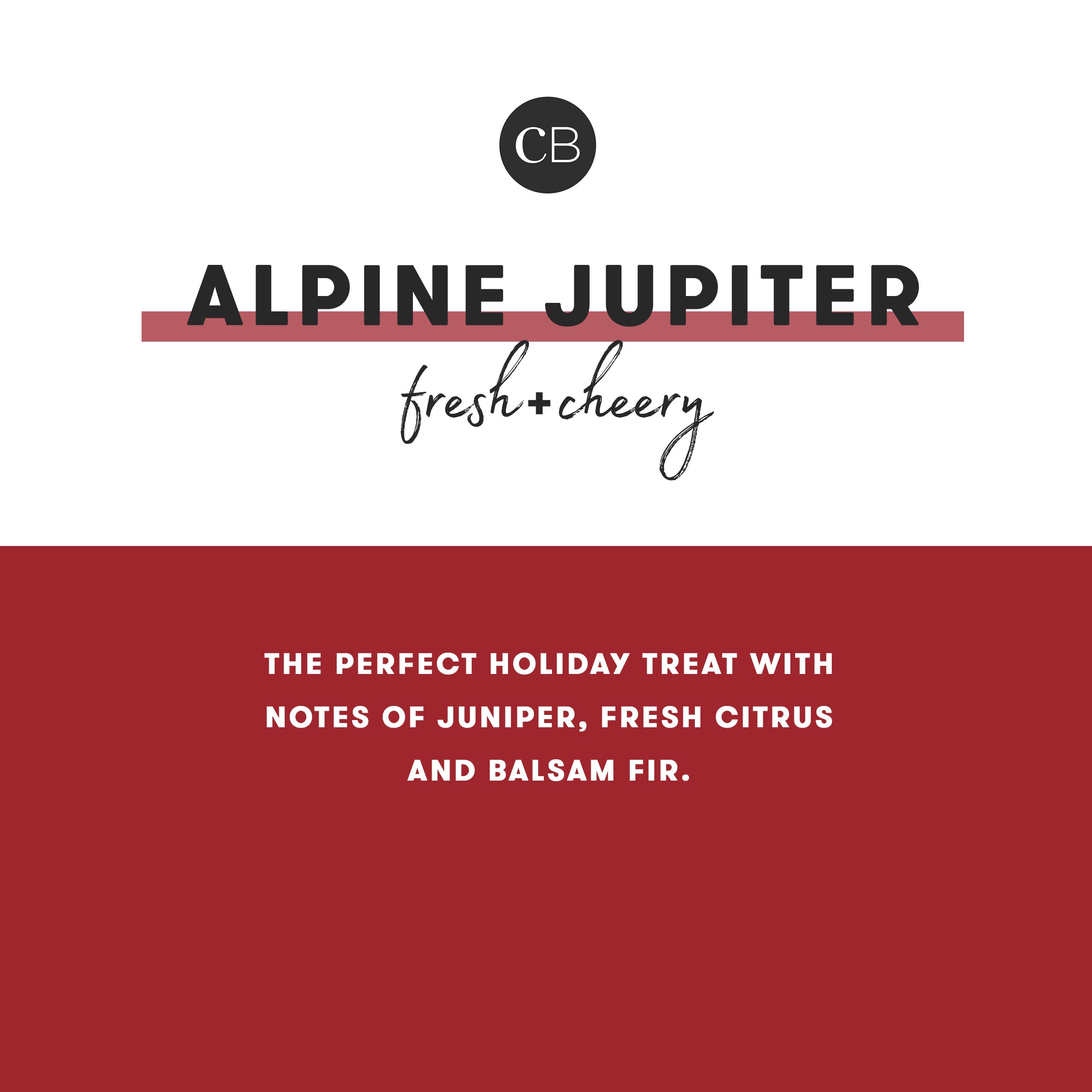 Alpine Juniper Glam Mini Tin Candle view 2