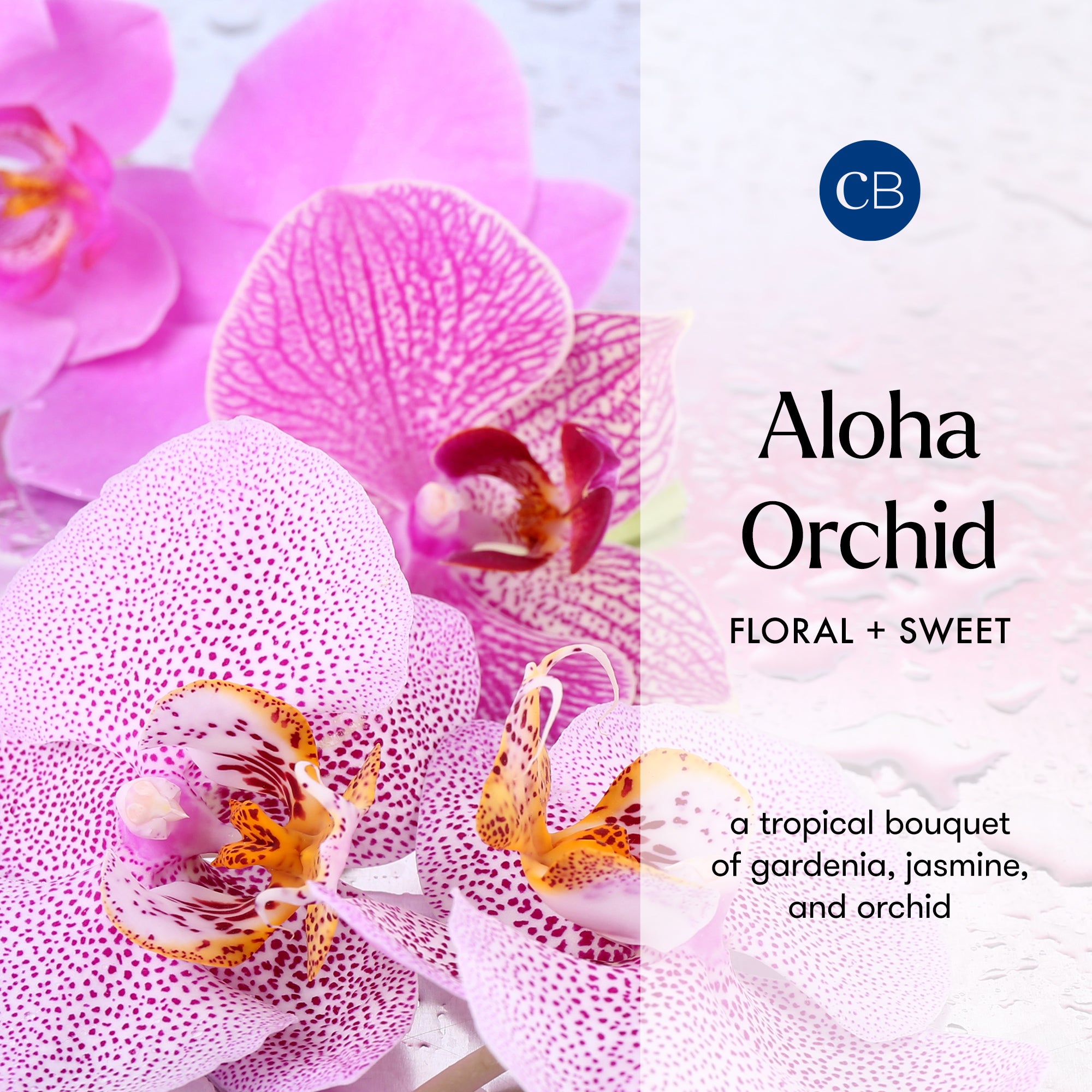 Pink orchid with brand logo and product description on a white background
