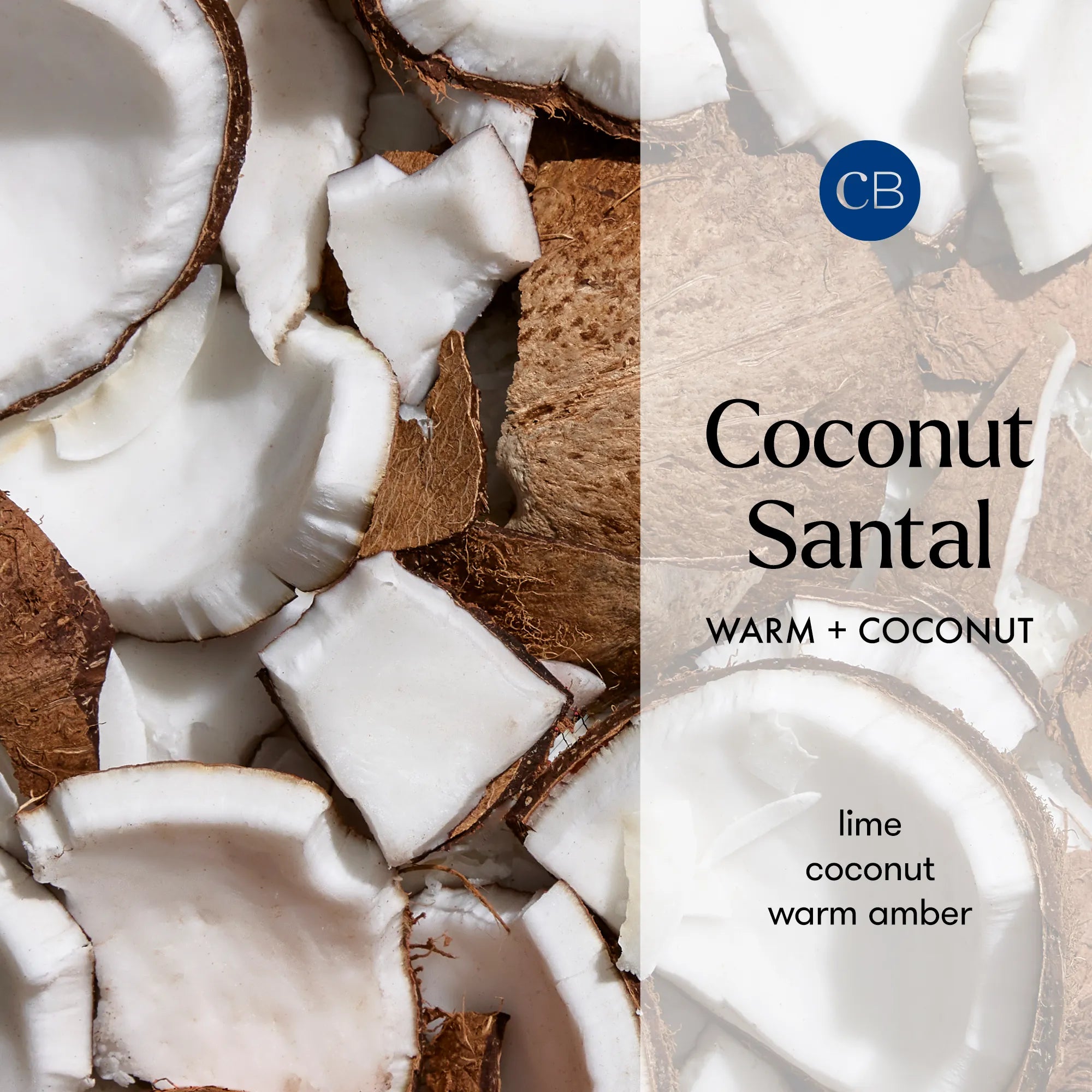 Coconut Santal White Signature Candle view 2