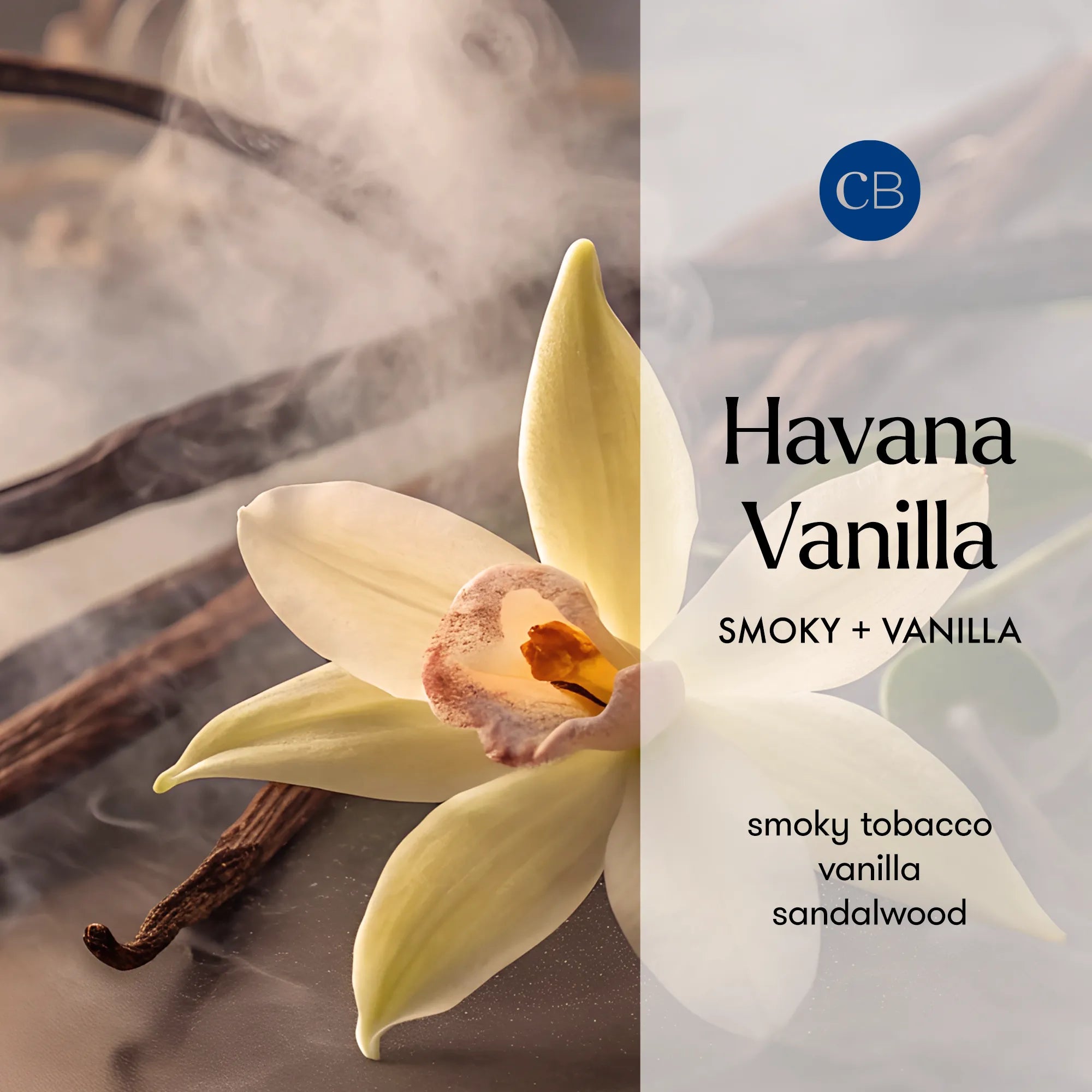 Havana Vanilla White Petite Candle view 2