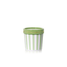 Striped pot with green rim on a white background