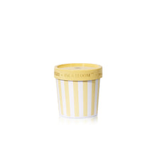 Yellow and white striped container with 'Isla Bloom' branding on a white background