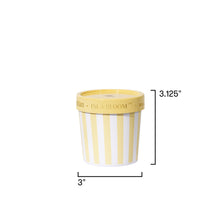 Small striped container with dimensions on a white background