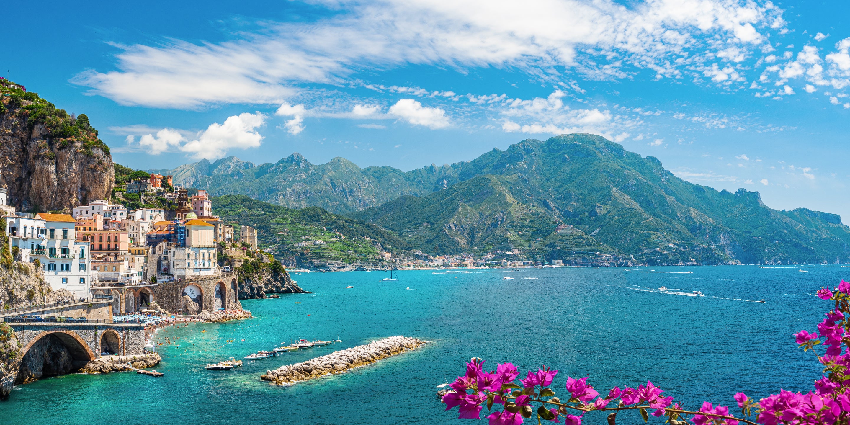 Scenic view of a coastal town with mountains and clear blue water, featuring pink flowers in the foreground.