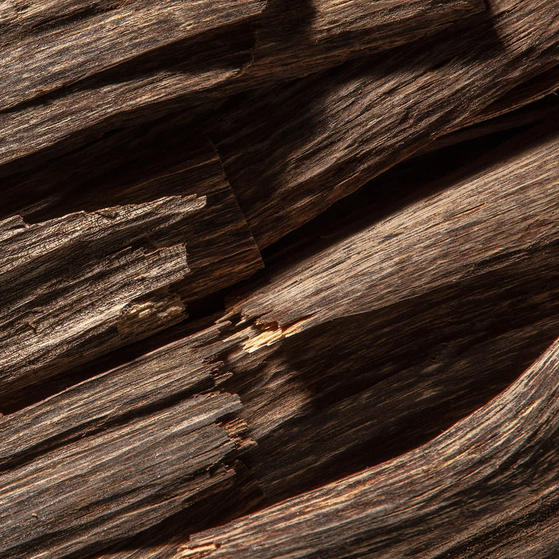 A close-up texture shot of dark brown wood grain with natural knots, fissures, and weathered surfaces.