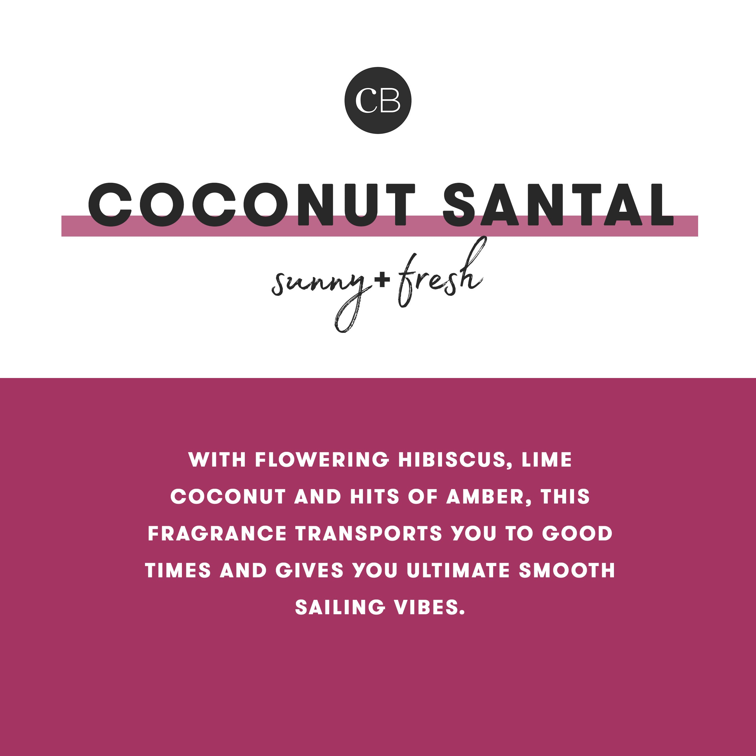 Coconut Santal Signature Reed Diffuser view 2