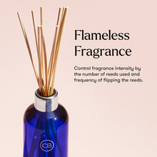 Blue diffuser bottle with reeds on a beige background, featuring the brand 'CB'.