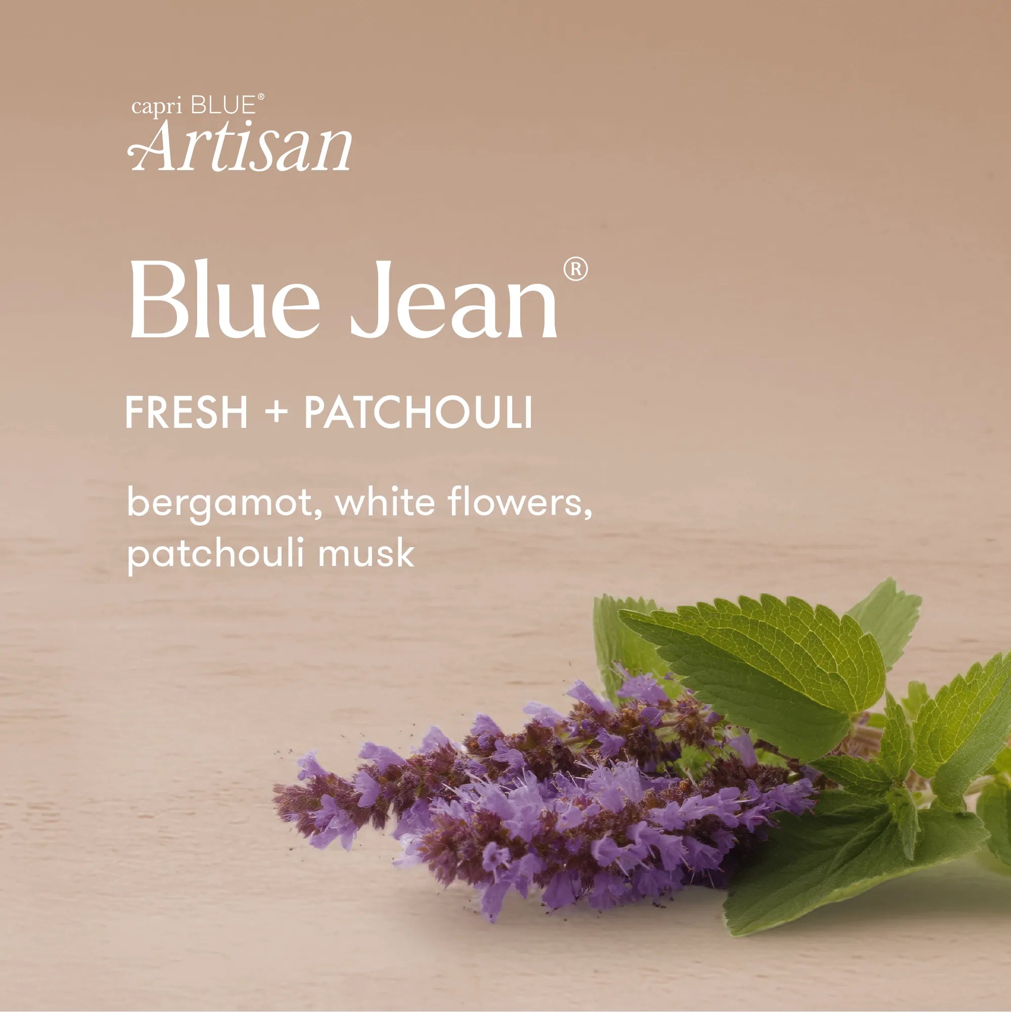 Capri Blue Artisan Blue Jean Fresh + Patchouli fragrance graphic on a warm beige background, featuring white text and a sprig of purple patchouli flowers with green leaves.