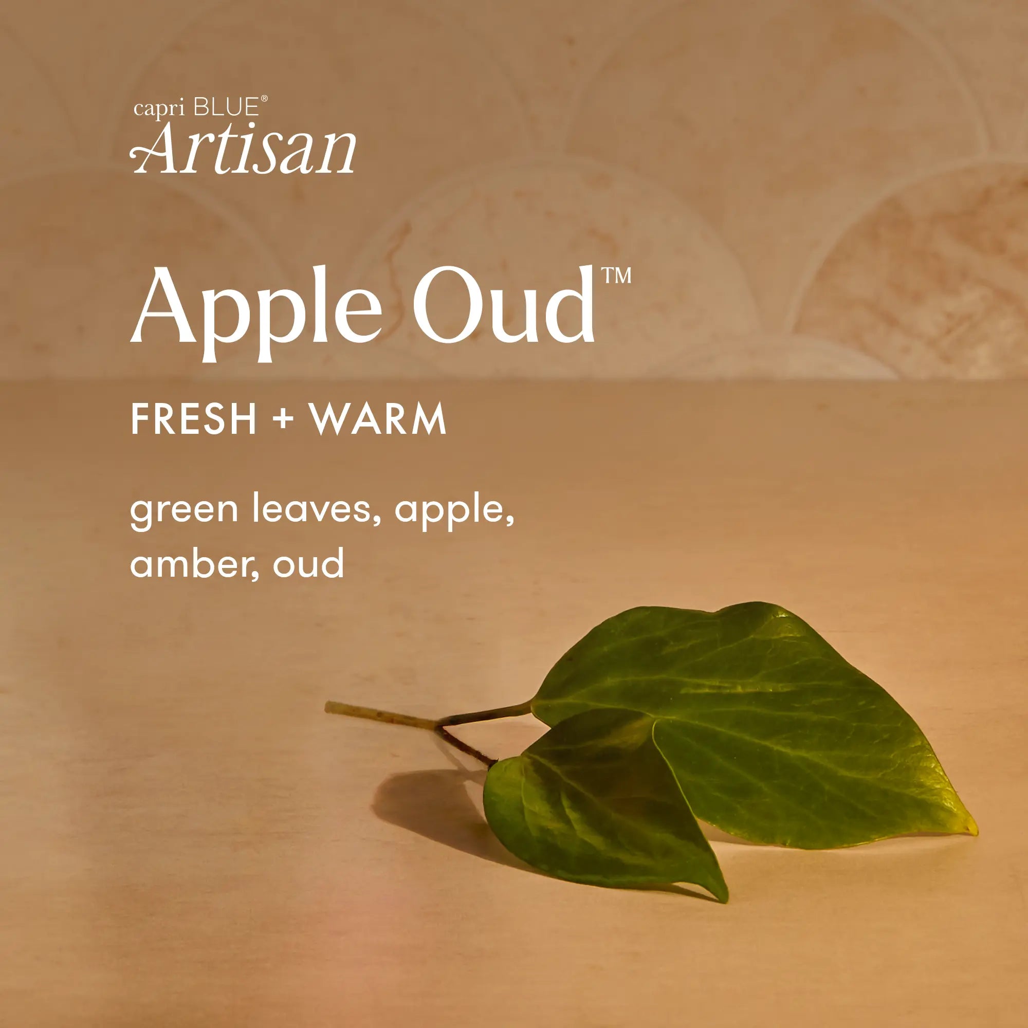Apple Oud Tuscan Radiance Reed Diffuser