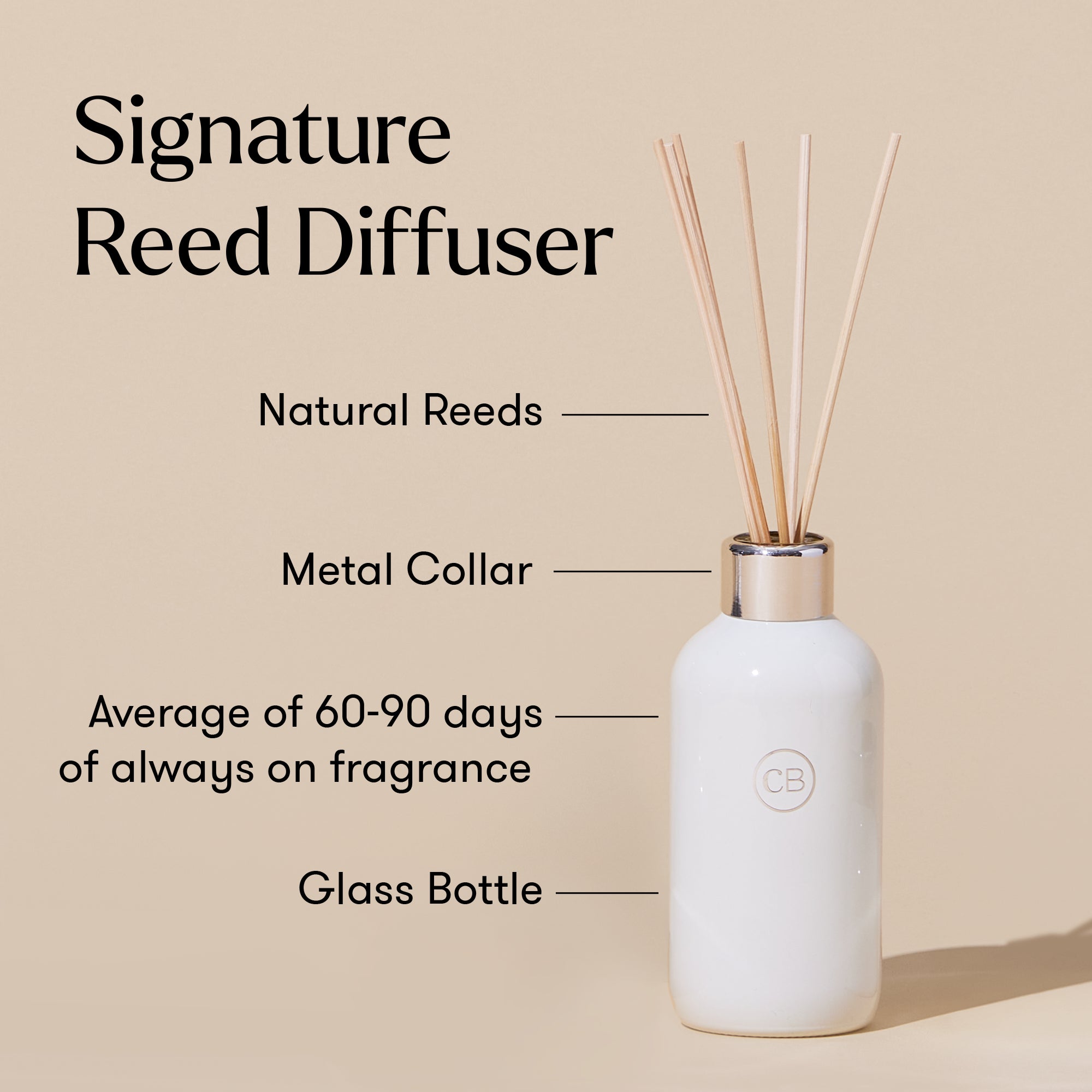 Signature Reed Diffuser with labeled parts on a beige background